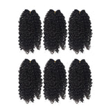 6pcs 14" inches New Regina Curl Weaves Synthetic package SKU NewRegina