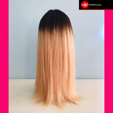 HOTDOT Wig: Two Tone Black & LIGHT BROWN Wig 16 inch SKU HD-LB16w8c Hotdot.co.za